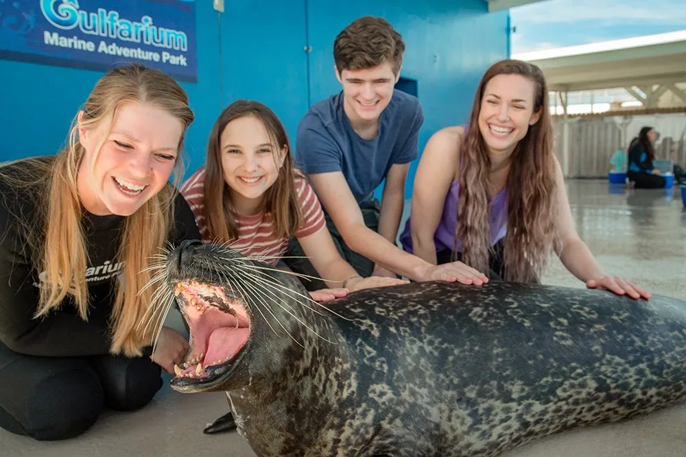 Thing To Do Family-Friendly Activities