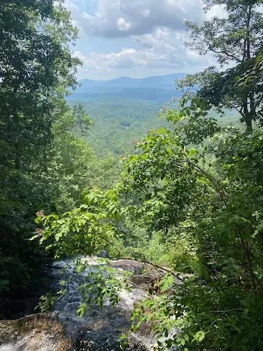 Things To Do A Grape View Tours