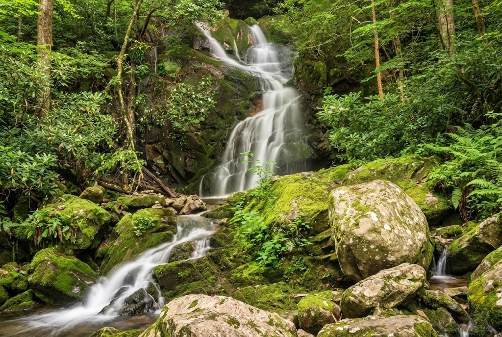 Things To Do Big Creek / Mouse Creek Falls