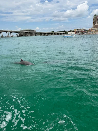 Things To Do Island Watersports Company – Okaloosa Island (Fort Walton Beach), FL