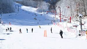 Things To Do Ober Gatlinburg Amusement Park and Ski Area