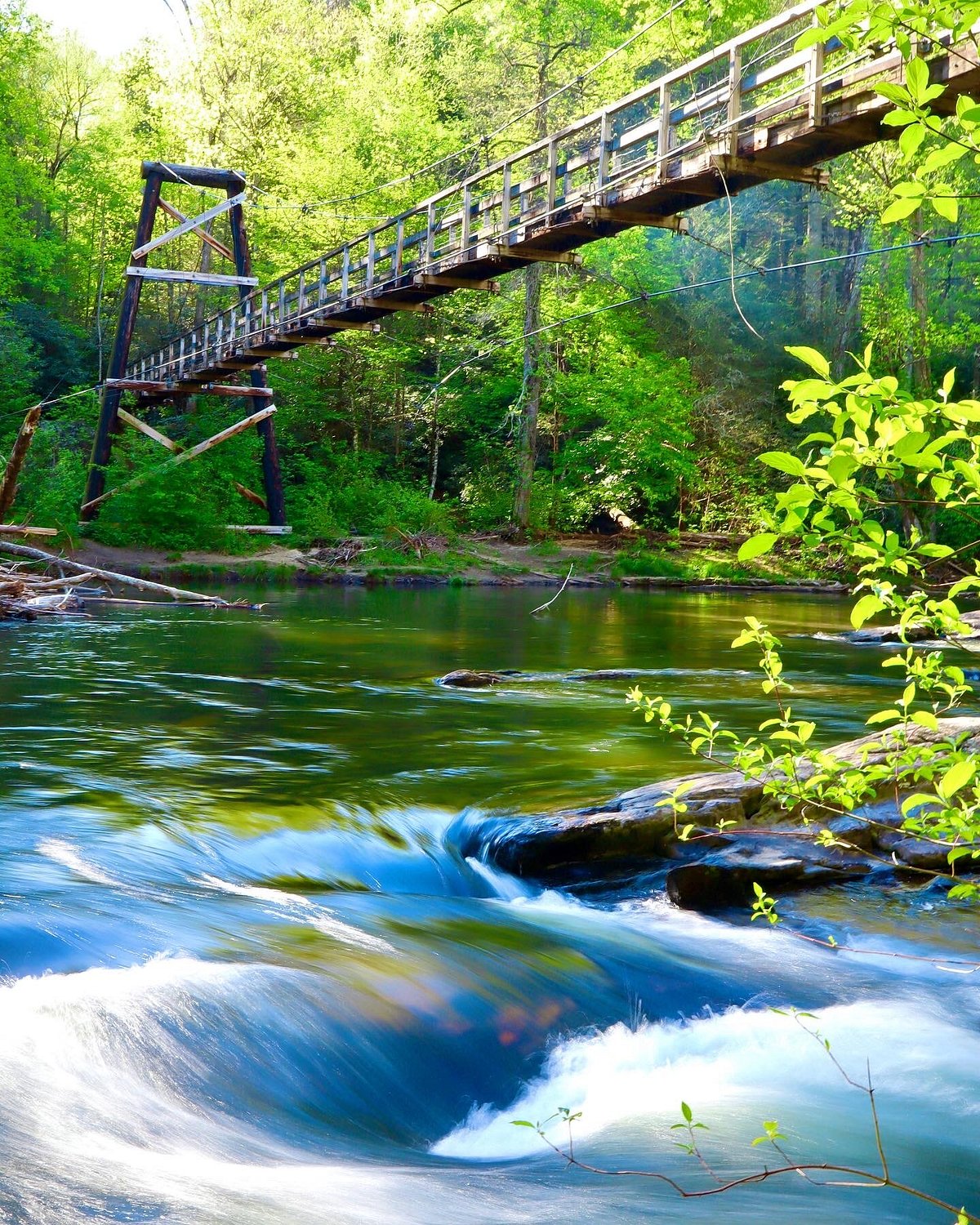 Things To Do Toccoa River Swinging Bridge (Blue Ridge, GA)